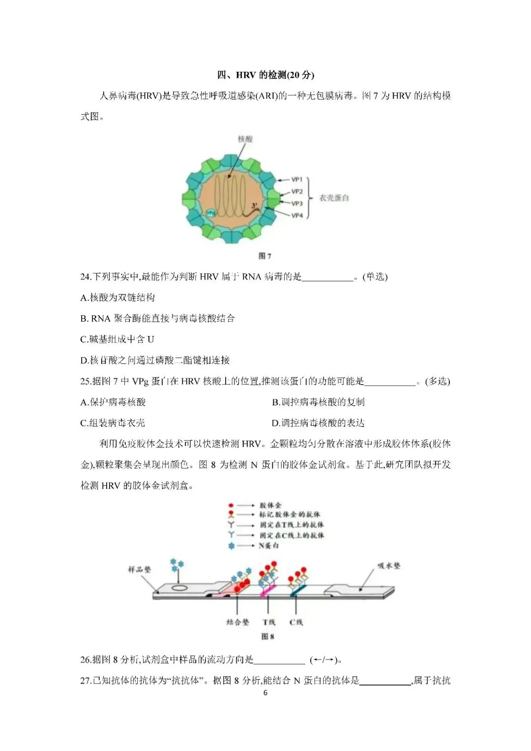 2026届上海市浦东新区高三二模生物试卷(含答案) 第6张