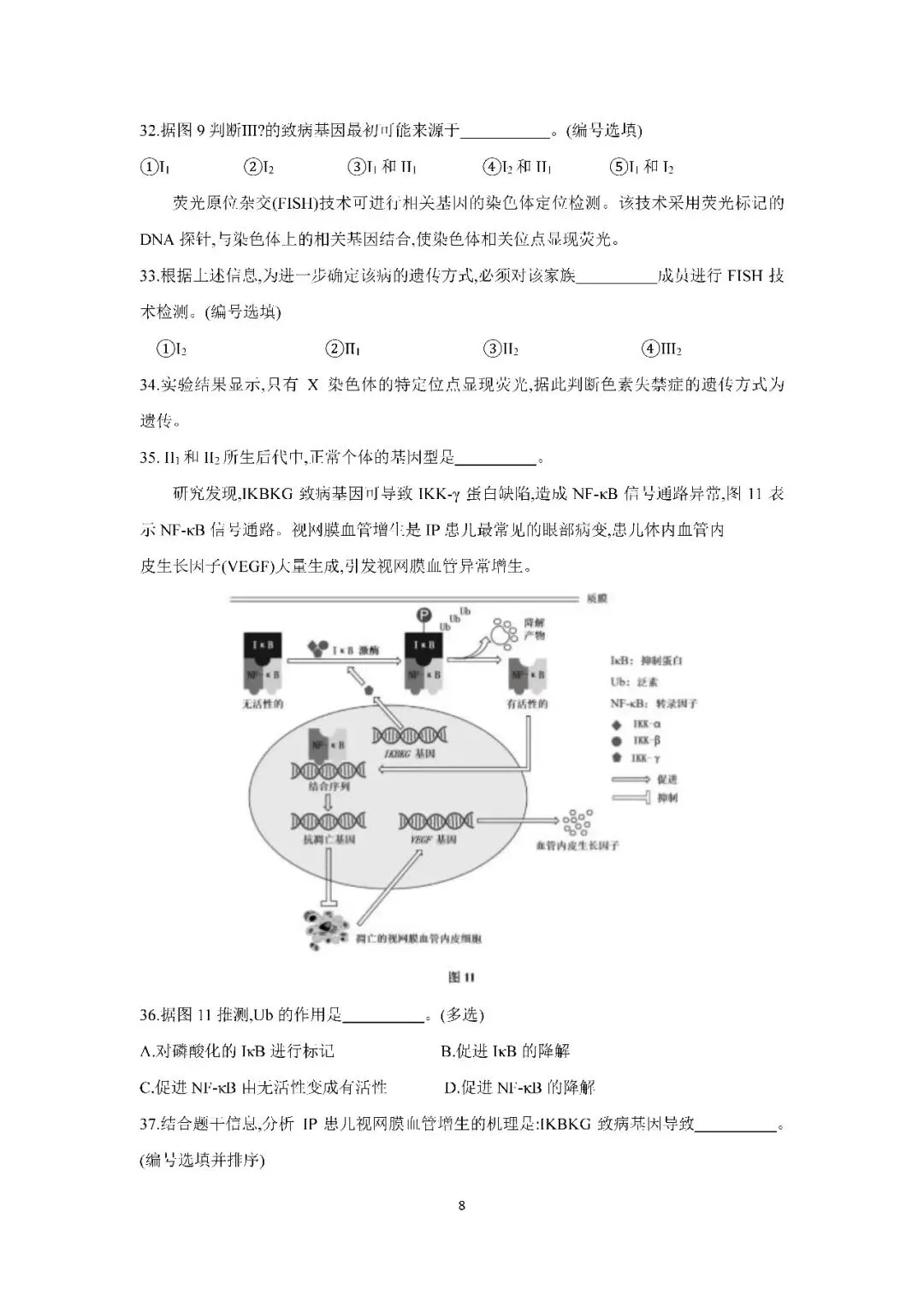 2026届上海市浦东新区高三二模生物试卷(含答案) 第8张