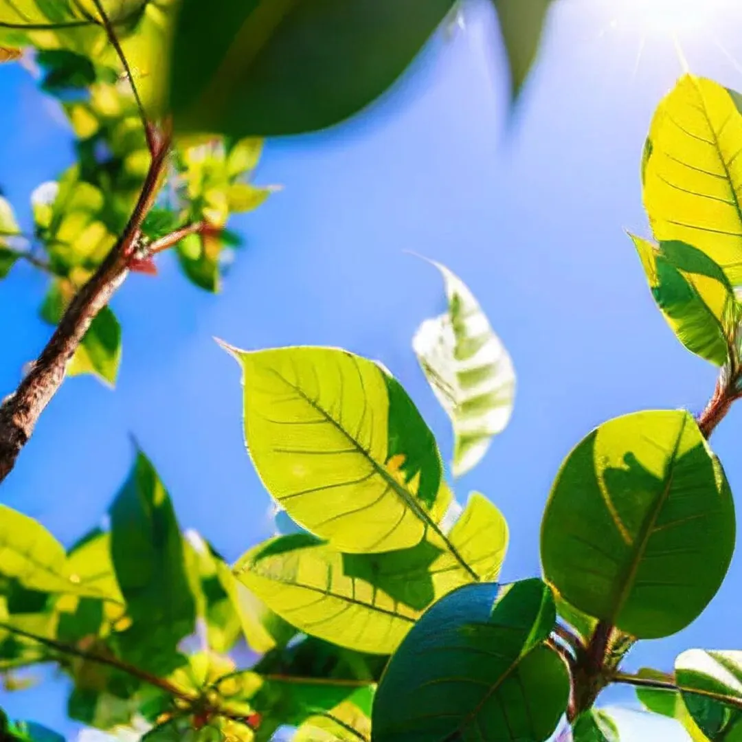 【七下阅读专项】以“中考真题考点定位”革新课前复习模式! 第2张 【七下阅读专项】以“中考真题考点定位”革新课前复习模式! 第2张