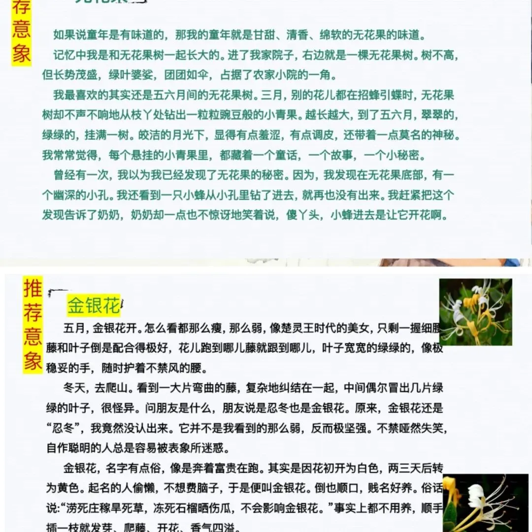 中考作文亲情主题这样讲,学生爱听! 第17张