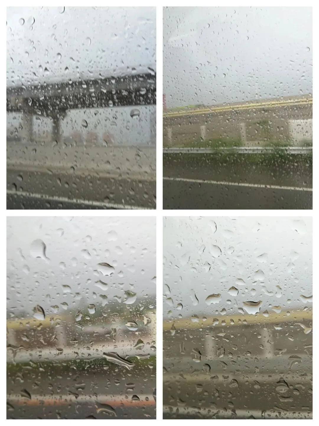 家有中考娃--哪怕偶遇暴风雨,稳住终雨过天晴 第1张 家有中考娃--哪怕偶遇暴风雨,稳住终雨过天晴 第1张