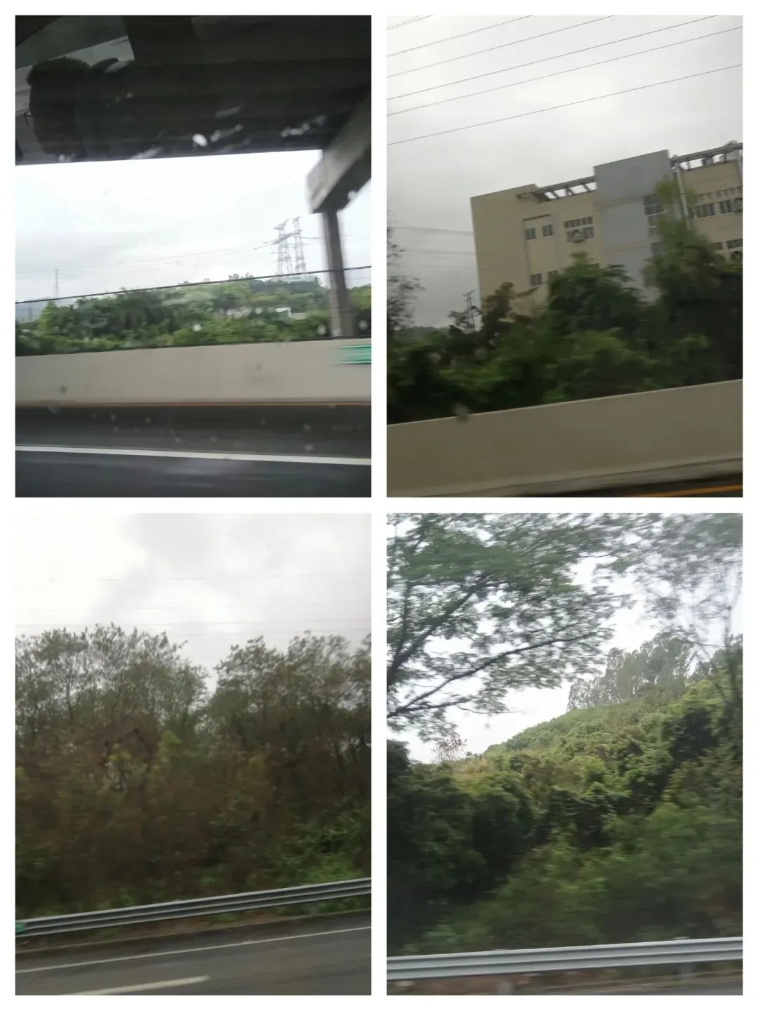 家有中考娃--哪怕偶遇暴风雨,稳住终雨过天晴 第2张 家有中考娃--哪怕偶遇暴风雨,稳住终雨过天晴 第2张