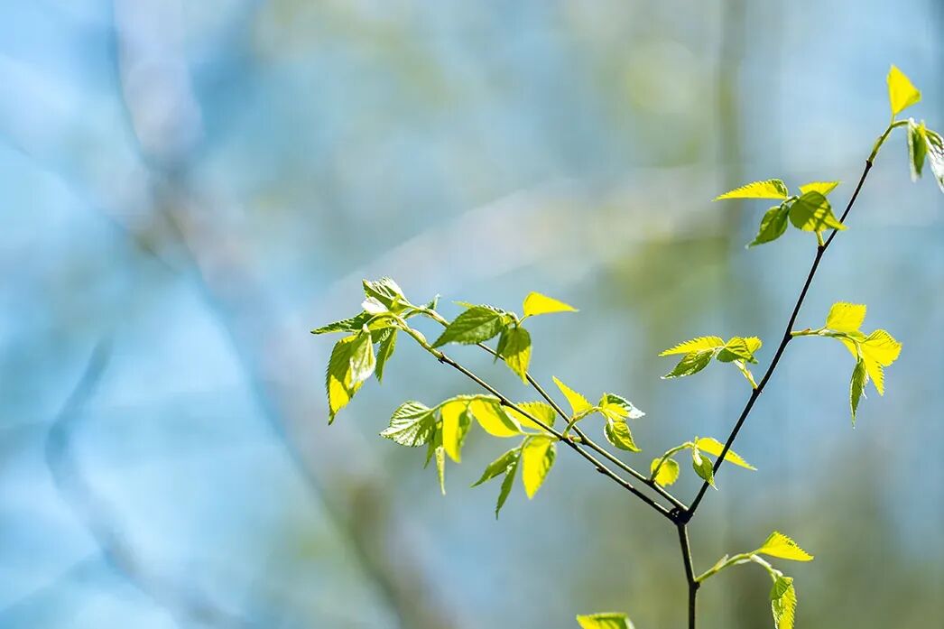 (新)2026年考研英语一真题及答案(逐词逐句翻译) 第2张