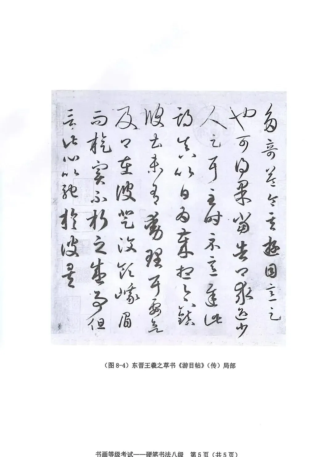 书法考级真题:2025年5月CCPT硬笔书法8级真题试卷(含答题卡、备考资料) 第7张