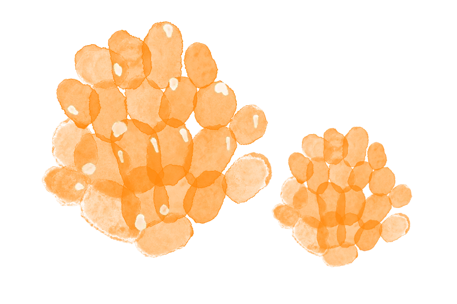 中考政策|中考志愿提前批次 第4张