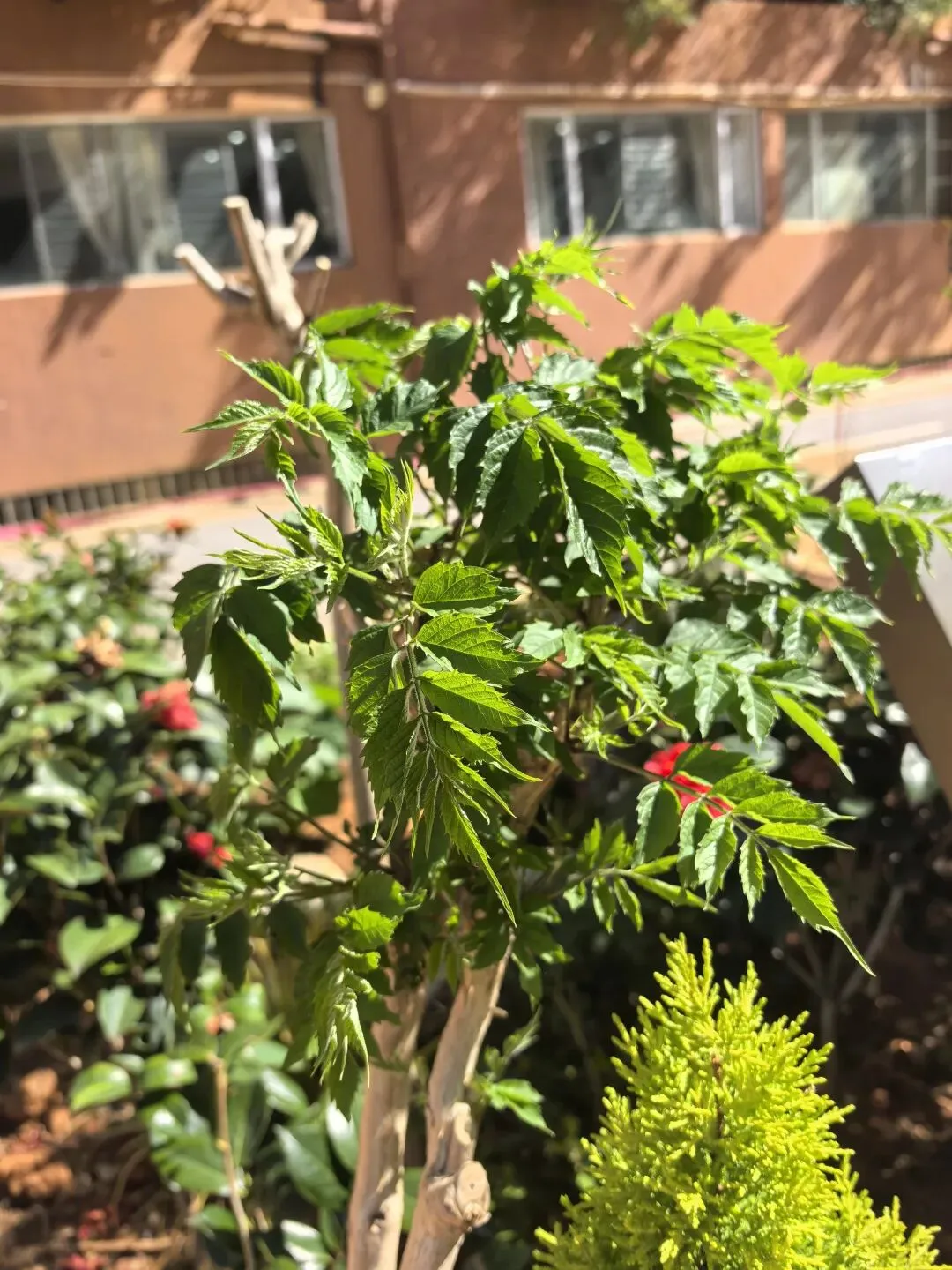 饵丝米线都是米||2026中考语文备考的应“变”策略 第3张