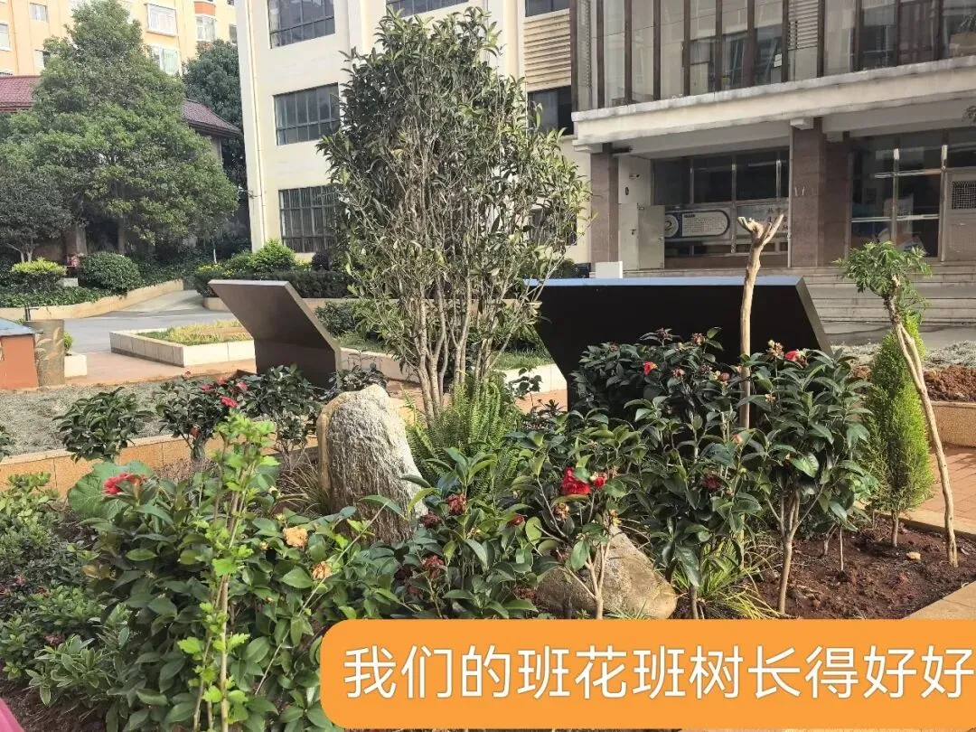 饵丝米线都是米||2026中考语文备考的应“变”策略 第4张