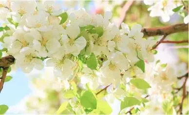 考前狂背|2018年天津市中考英语书面表达试题及范文 第2张