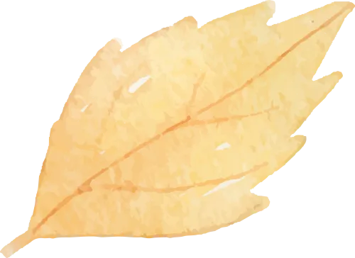 精准施策提质效 凝心聚力备中考——建阳区九年级化学线下集备研讨活动 第8张 精准施策提质效 凝心聚力备中考——建阳区九年级化学线下集备研讨活动 第8张