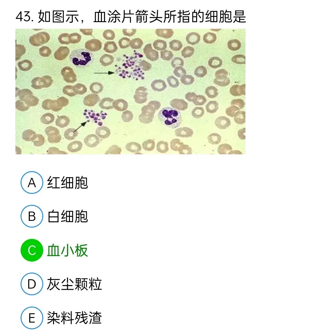 历年真题回顾2010师专业实践能力 第43张