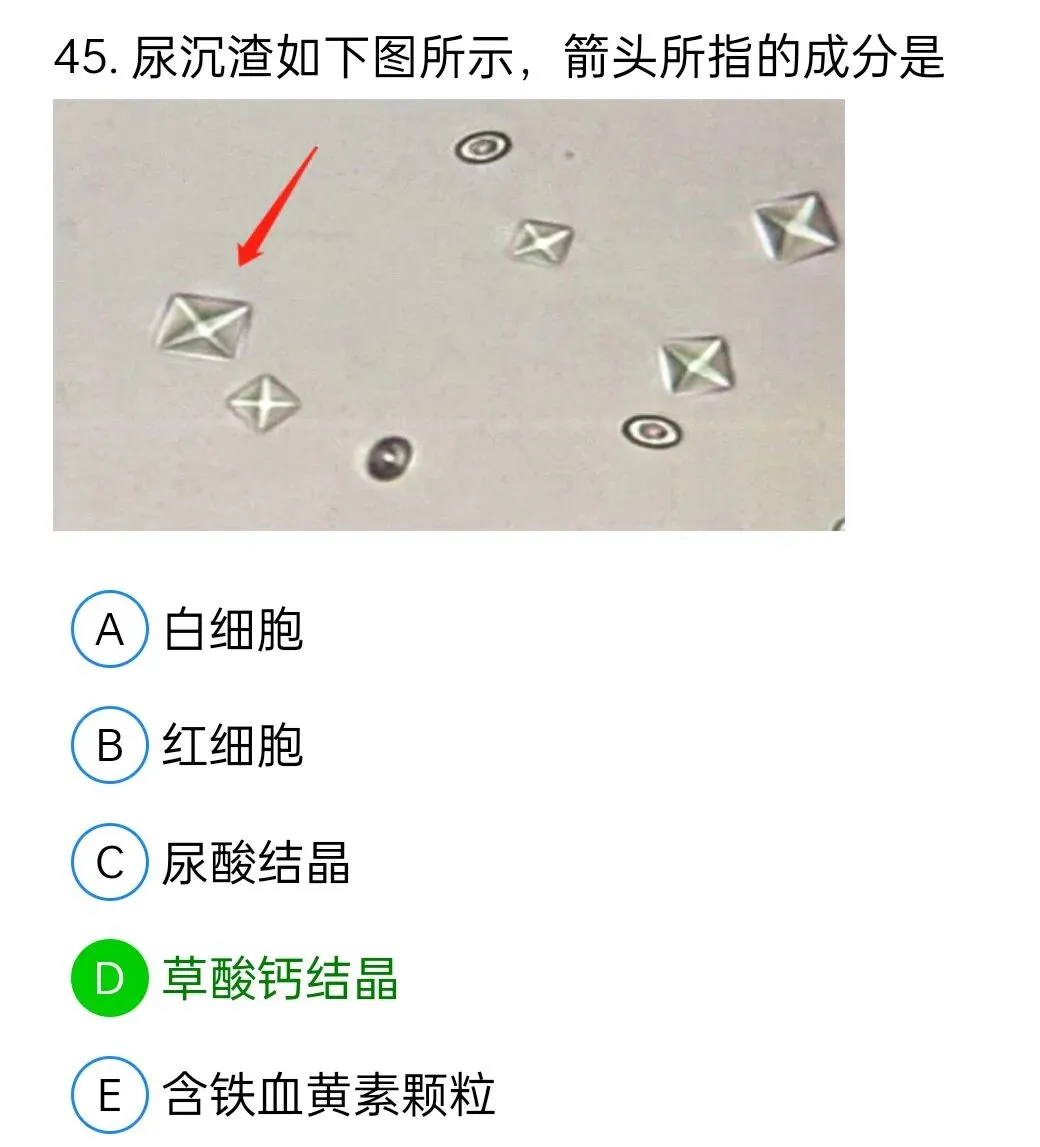 历年真题回顾2010师专业实践能力 第45张