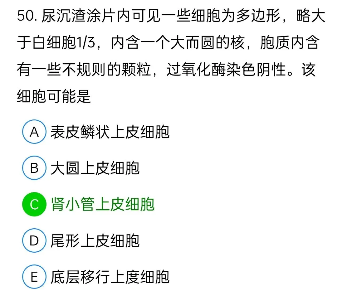 历年真题回顾2010师专业实践能力 第50张