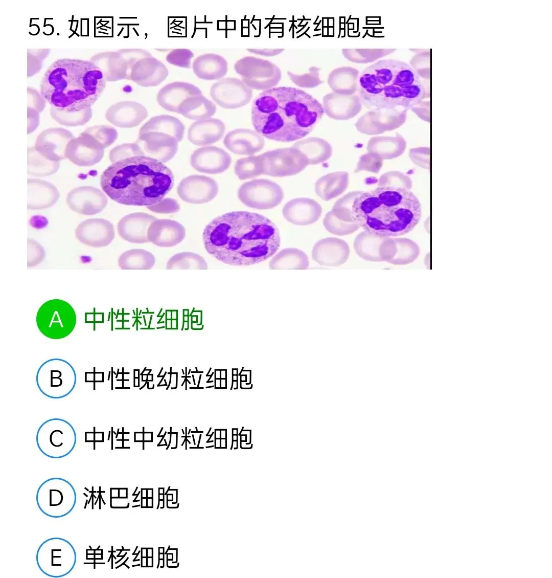 历年真题回顾2010师专业实践能力 第55张