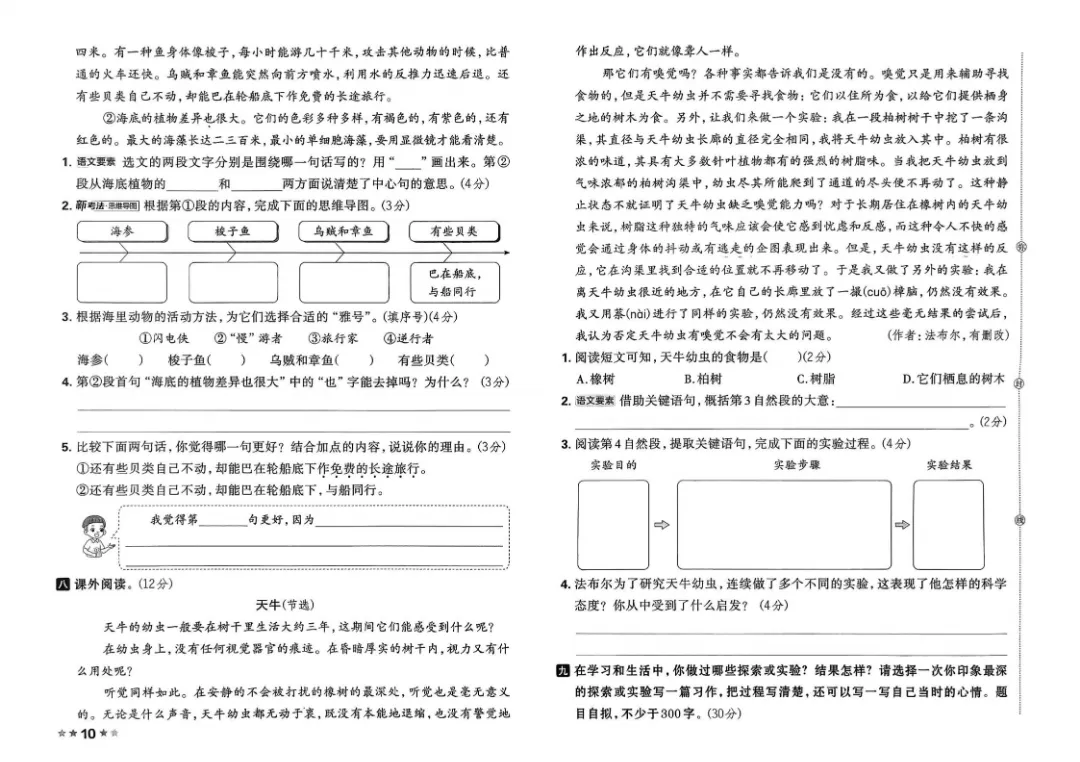 26春三年级下册语文1-8单元试卷【单元+期中+期末】含答案|完整电子版可打印 第7张 26春三年级下册语文1-8单元试卷【单元+期中+期末】含答案|完整电子版可打印 第7张