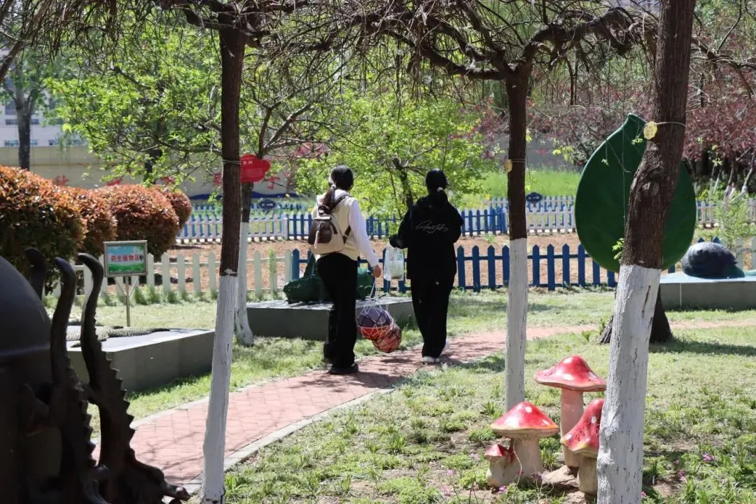 【新徽·教育】郑州市维纲中学中考体育考点面向市内各初中开放 第15张