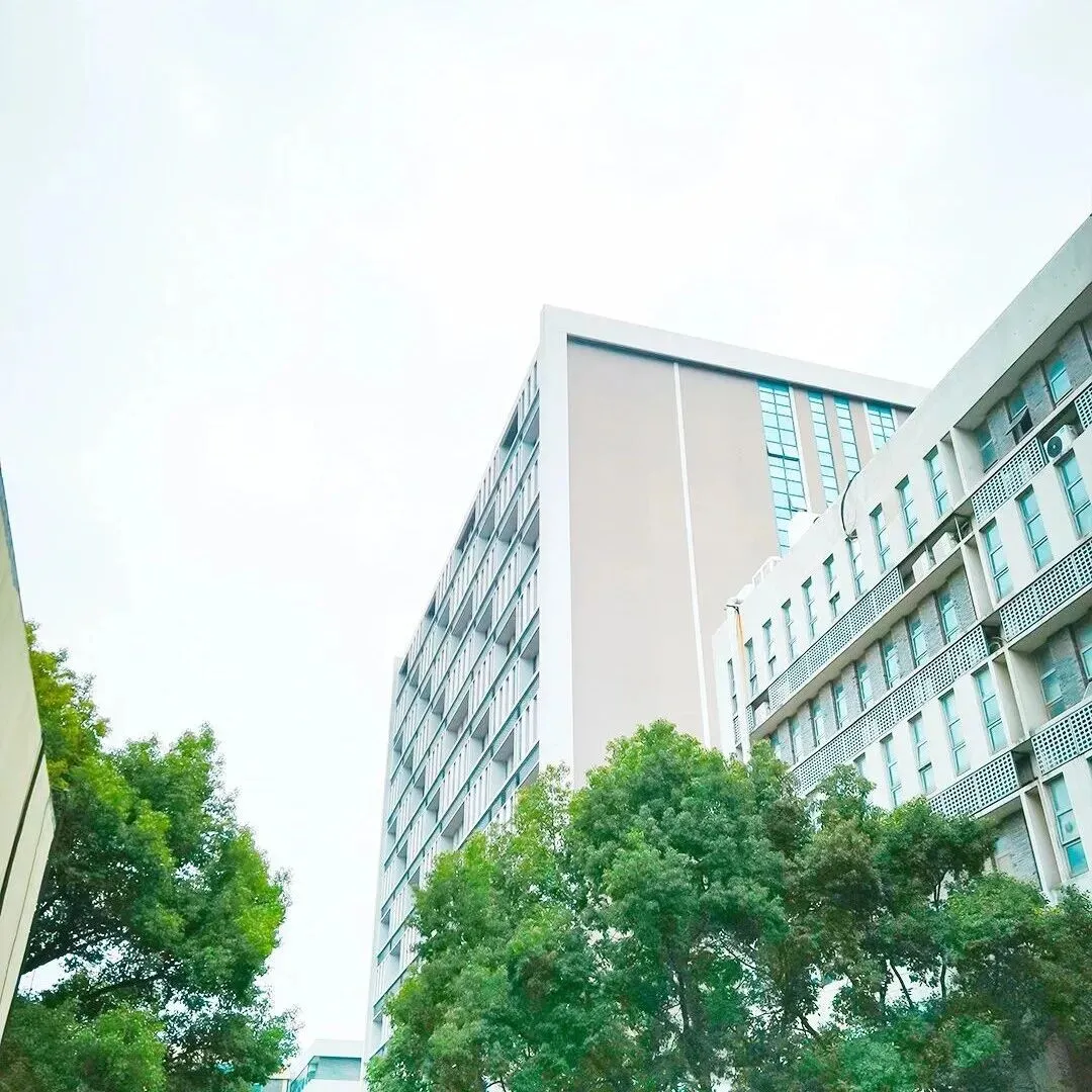 AI体测革命:中考体育新解法 第9张 AI体测革命:中考体育新解法 第9张