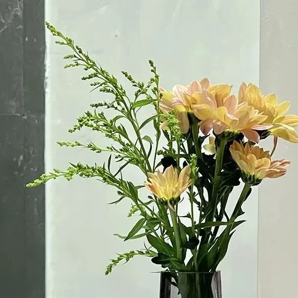 AI体测革命:中考体育新解法 第10张 AI体测革命:中考体育新解法 第10张