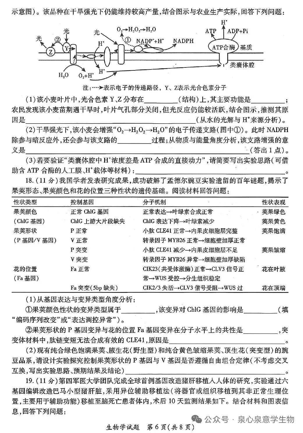 陕西省第二次适应性考试生物试卷 第6张