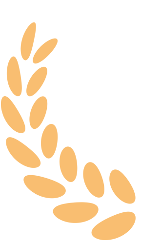 喜报:从中考失利到单招圆梦!我校一志愿录取 385 人,公办率 91%,低进高出再谱新篇! 第36张