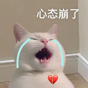 中考作文备考,比押题更重要的是这3个习惯 第1张