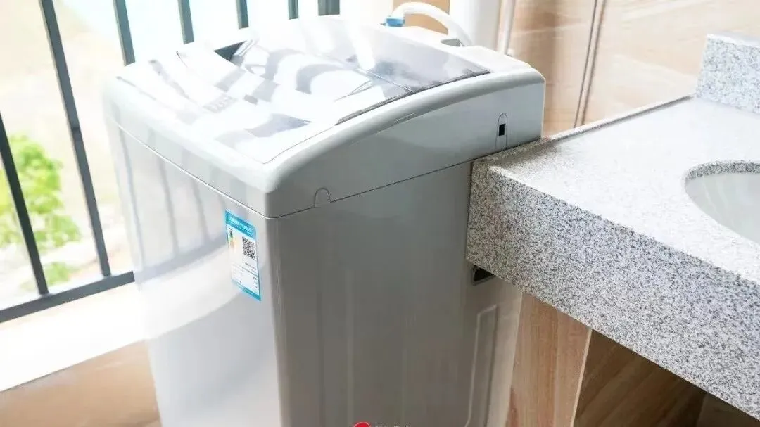 2026中考必看!这所优质高中值得推荐! 第72张