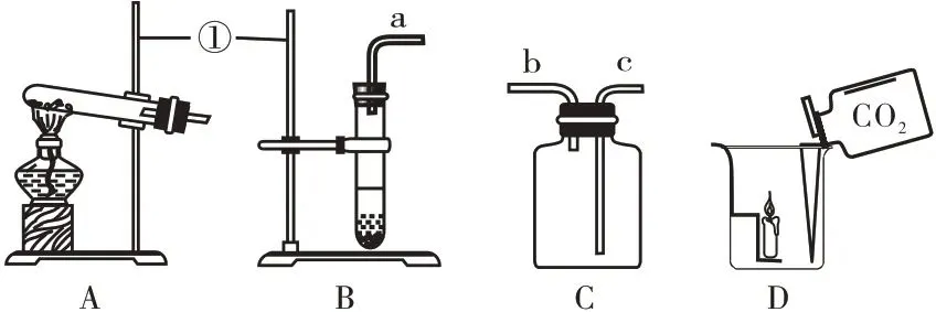 中考化学微专题——奇妙的“多功能瓶” 第17张