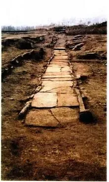 【2014年重庆市中考历史B卷试卷(含答案)中考真题电子版word版PDF版免费下载 第3张