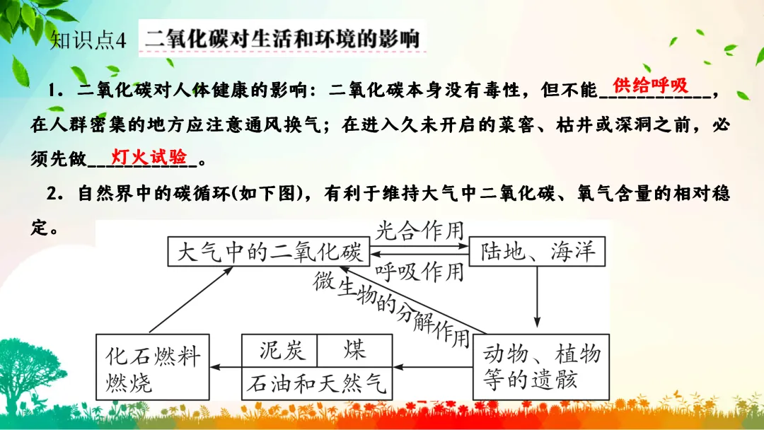F792 一轮中考单元复习 决胜中考2026 优质课资源包 初中化学《专题复习---碳和碳的化合物》课件PPT+教学设计Word 第19张
