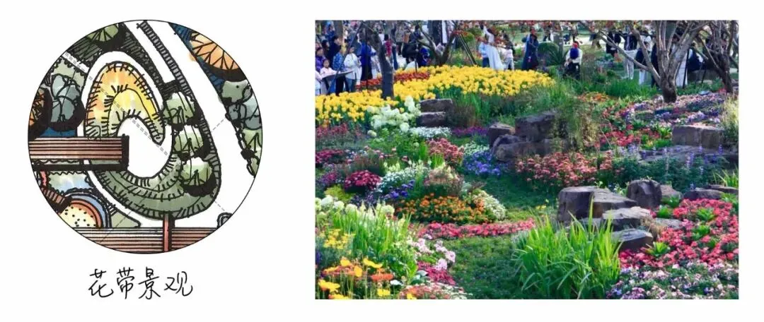 真题解析 | 东北林业大学2026年风景园林初试真题解析 第5张