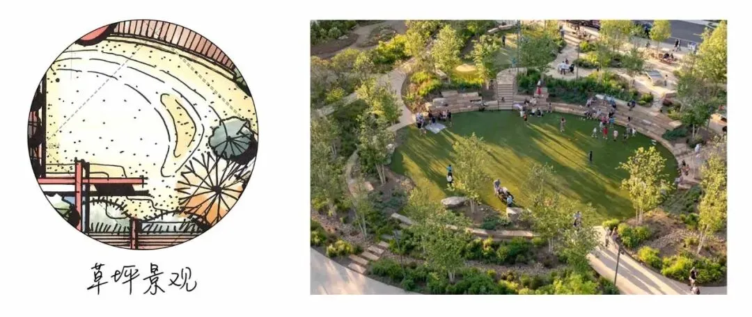 真题解析 | 东北林业大学2026年风景园林初试真题解析 第8张