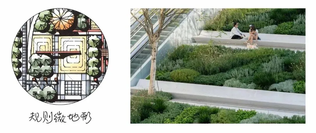 真题解析 | 东北林业大学2026年风景园林初试真题解析 第9张