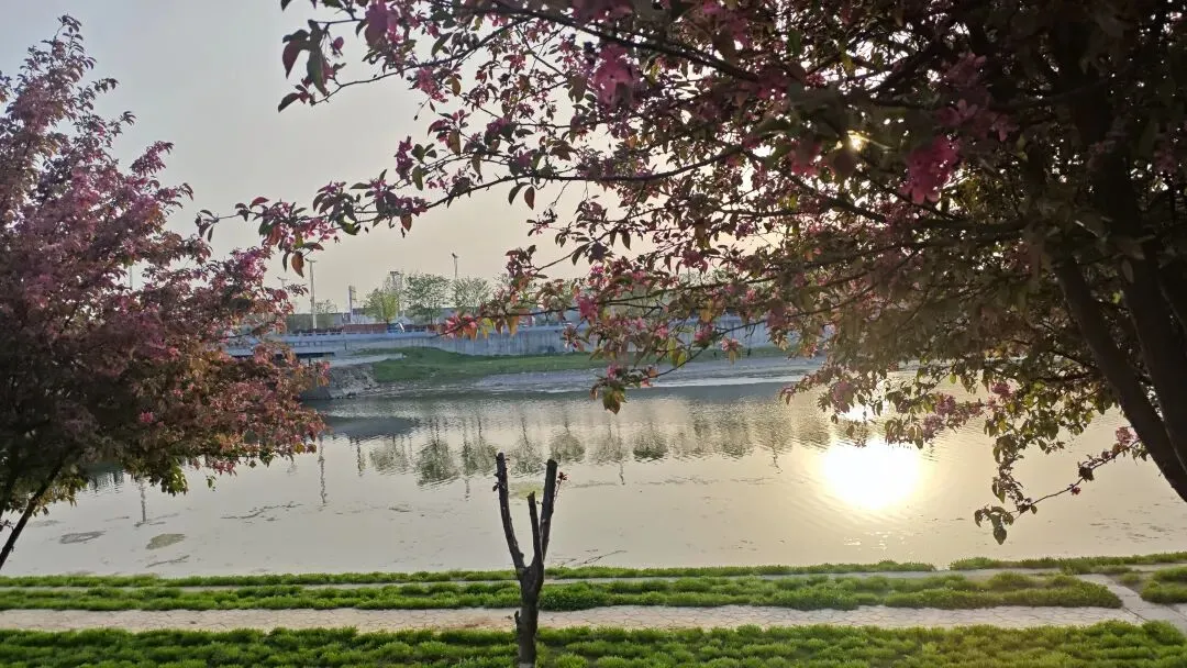 那个放弃中考的女孩,让我看到了99%青春期问题的根源 第1张