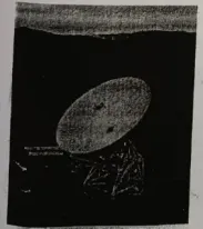 冲刺提分真题练——考点04宇宙观察与探索(原卷版) 第14张 冲刺提分真题练——考点04宇宙观察与探索(原卷版) 第14张