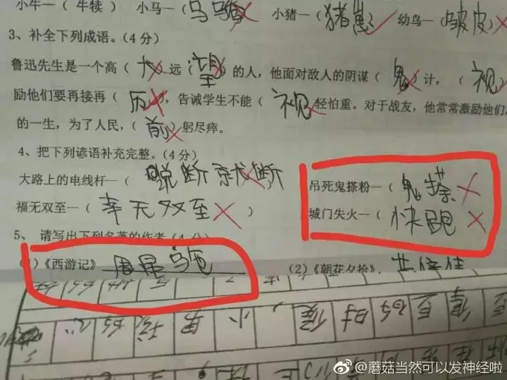把家长气到流泪的期中试卷!看完给跪了哈哈哈哈哈哈哈哈哈哈哈哈哈 第24张