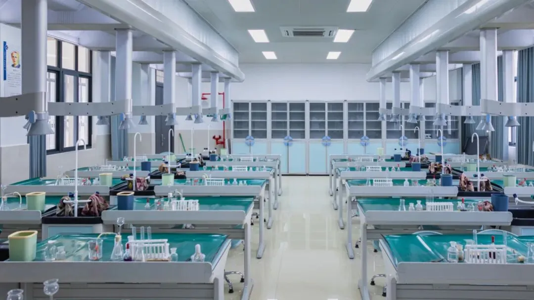 中考查分后,志愿怎么填?专家解读 第8张 中考查分后,志愿怎么填?专家解读 第8张