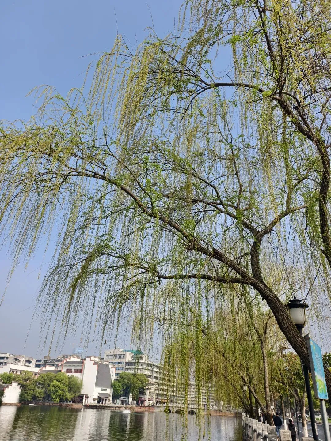 中考倒计时73天:一块橡皮的失而复得 第1张