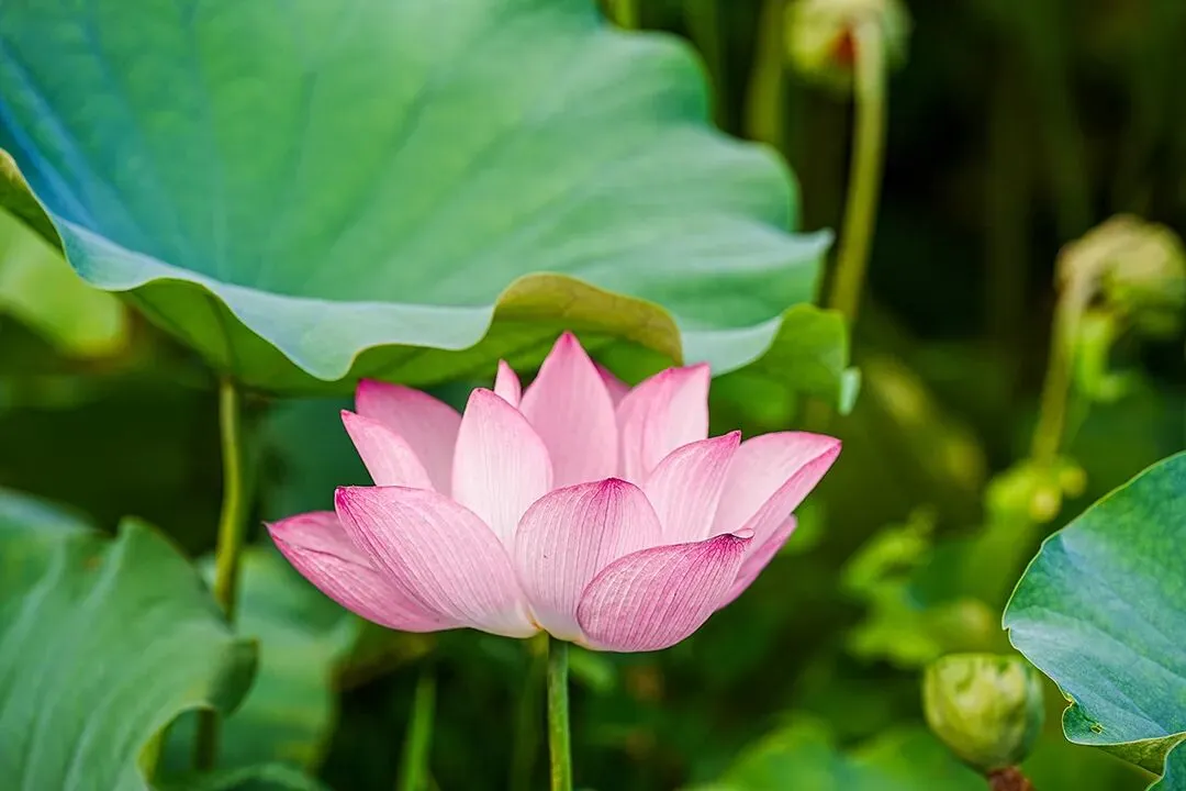 【高三各地数学模拟考试】数学试题2026太原高考一模数学试题+答案(2026.3.27) 第4张