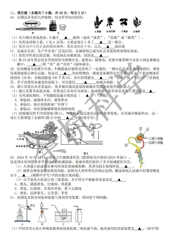 【中考模拟】浙江义乌市廿三里初中2025-2026学年第二学期九年级3月校本作业(附答案) 第8张