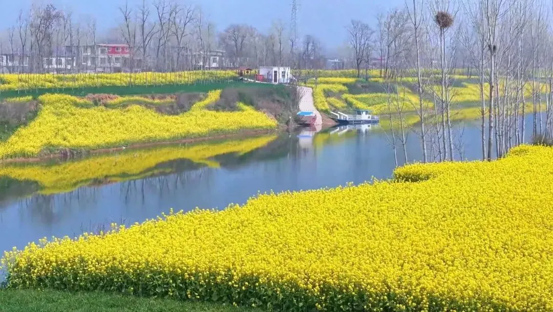 我写清明节气的一篇小文,被多个语文试卷选做阅读理解题. 第9张