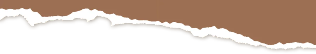 教研教学 | 初中部举办优秀试卷设计专题培训讲座 第3张