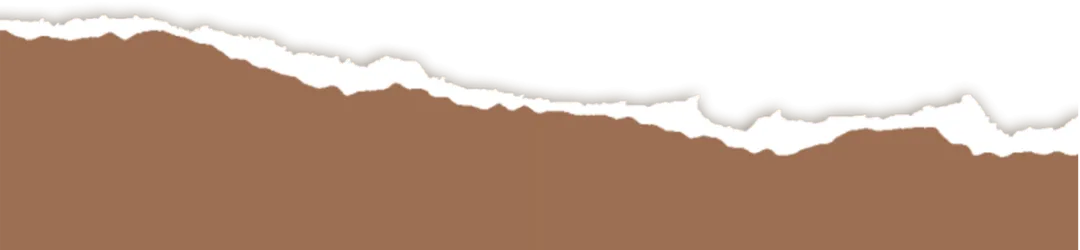 教研教学 | 初中部举办优秀试卷设计专题培训讲座 第5张