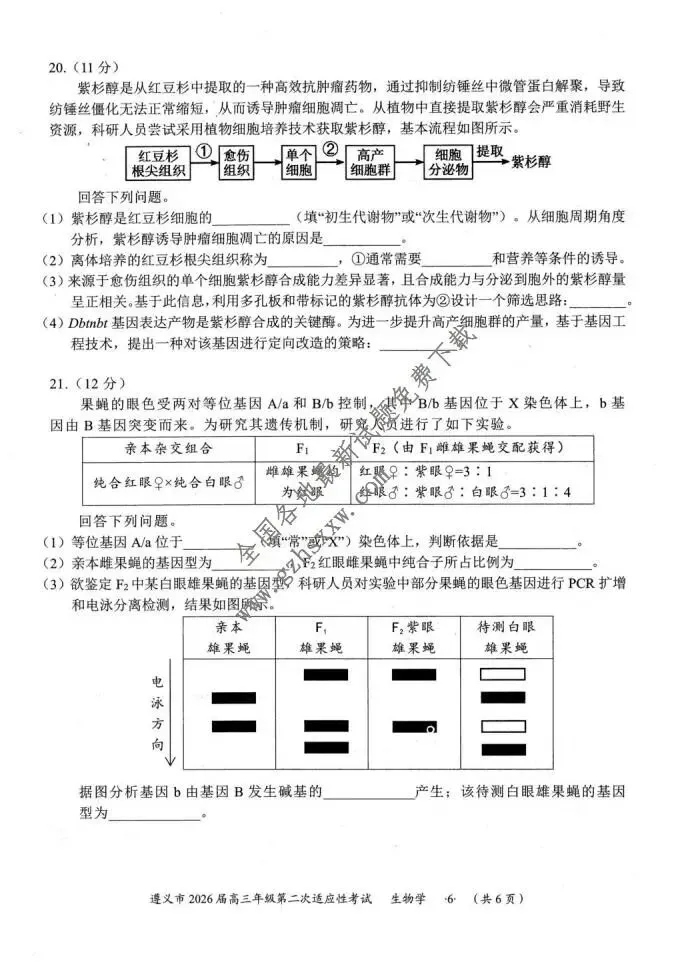《高中试卷》贵州省遵义市2026届高三上学期第二次适应性考试生物试卷(含答案) 第7张
