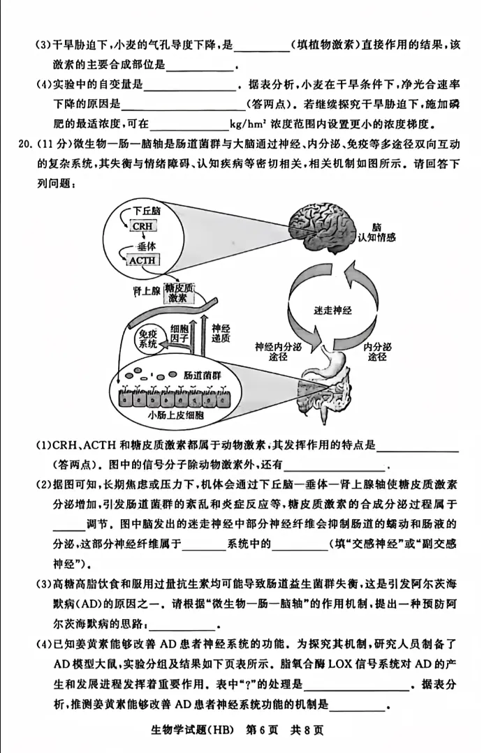 2025年12月(T8)八省联考-生物试卷及参考答案 第6张