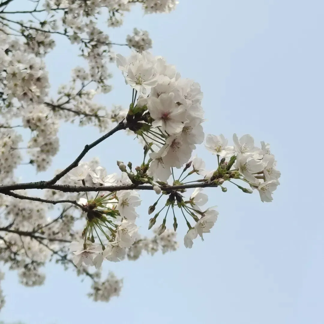 八下期中作文真题及例文:《给自己一个_______ 》 第1张