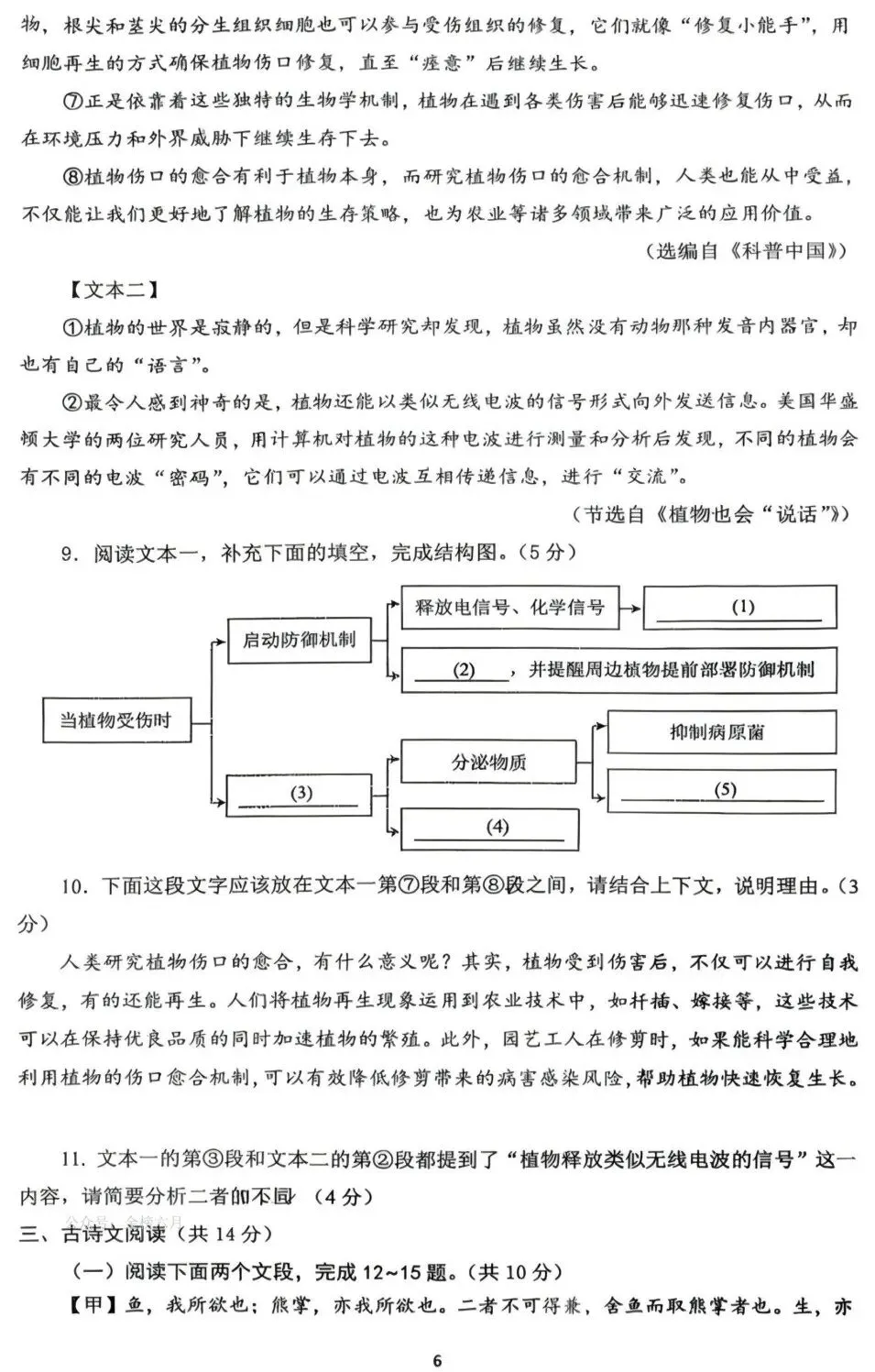 2026中考语文模拟试卷二(附答案),含金量很高! 第6张