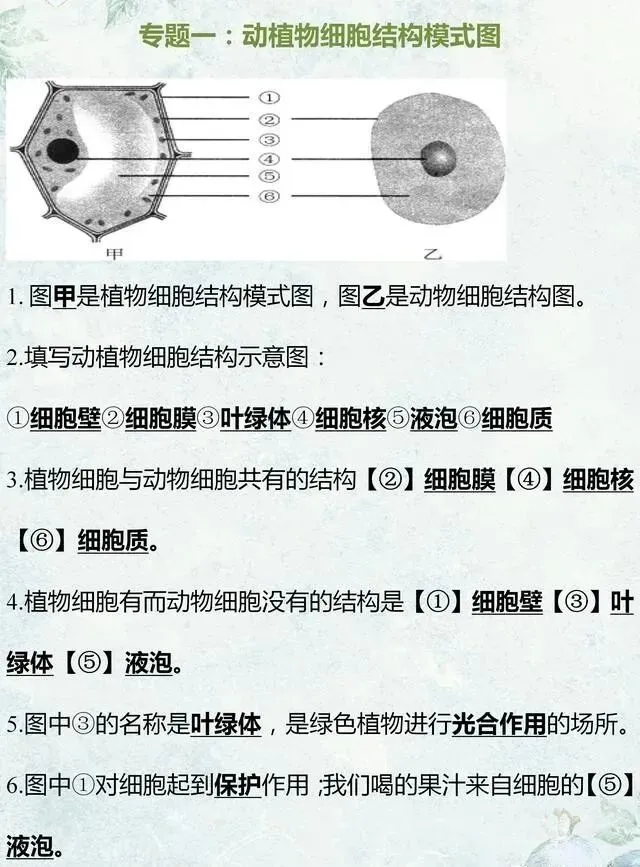 中考生物专题复习:识图作答专项练习,打印吃透,考试1分不丢! 第2张