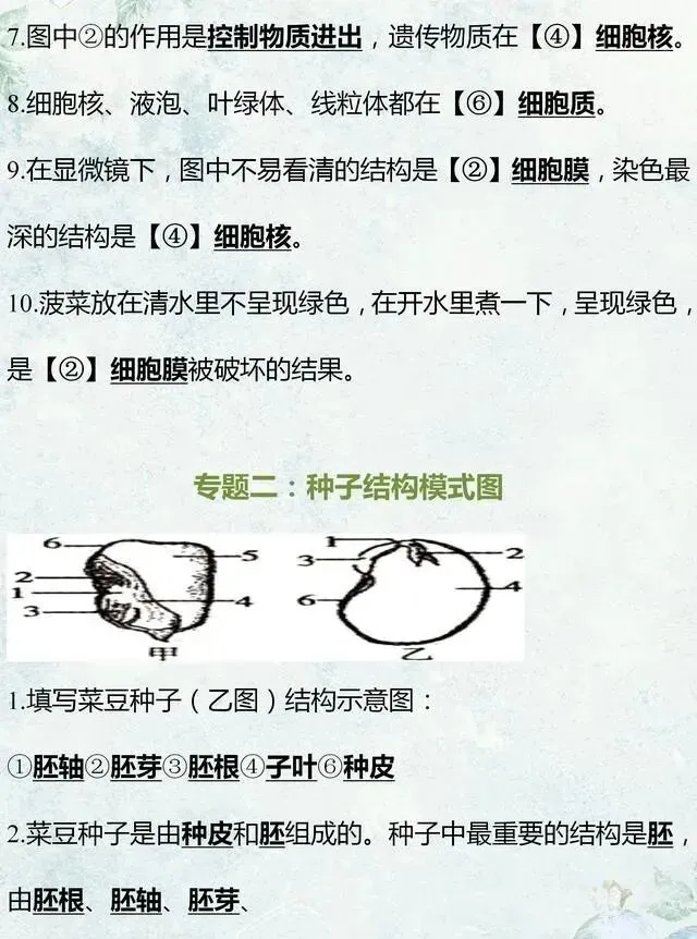 中考生物专题复习:识图作答专项练习,打印吃透,考试1分不丢! 第3张