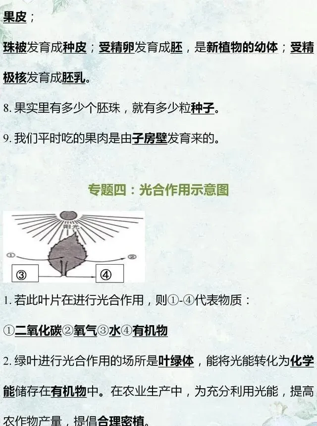 中考生物专题复习:识图作答专项练习,打印吃透,考试1分不丢! 第7张