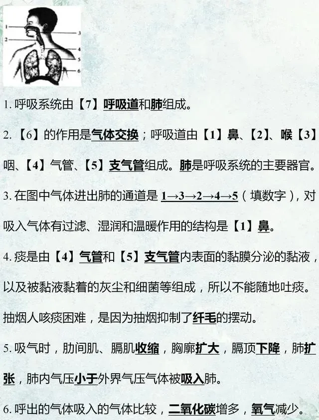 中考生物专题复习:识图作答专项练习,打印吃透,考试1分不丢! 第9张