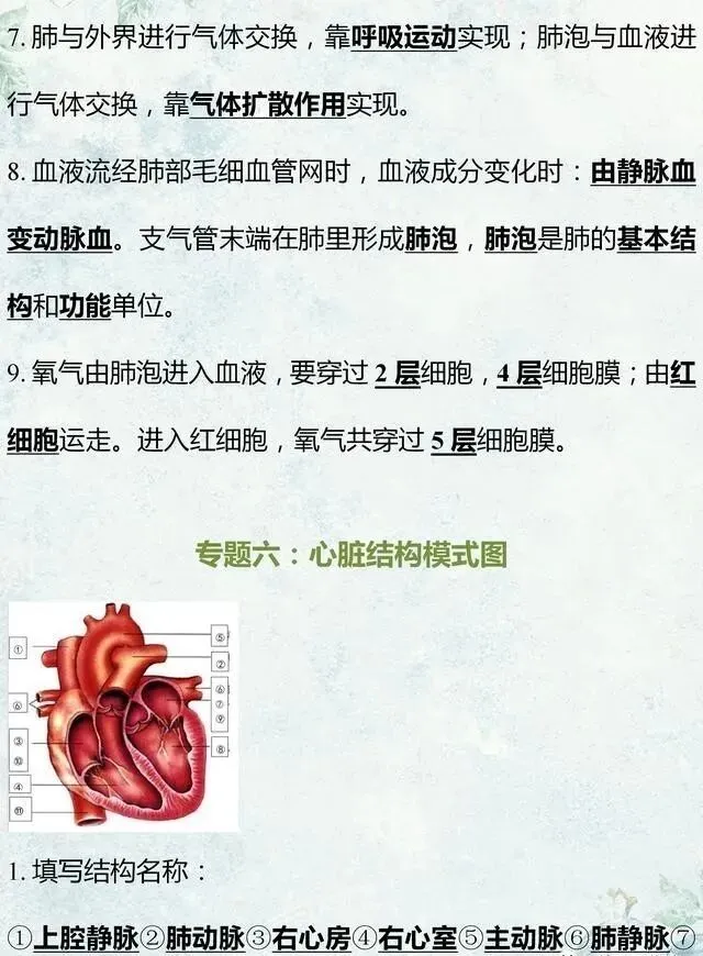 中考生物专题复习:识图作答专项练习,打印吃透,考试1分不丢! 第10张